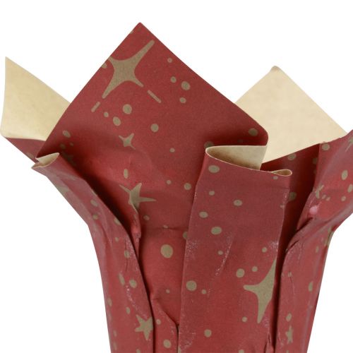 Artikel Plantenbak papier sterren rood/antraciet/naturel Ø12cm H12cm 9st