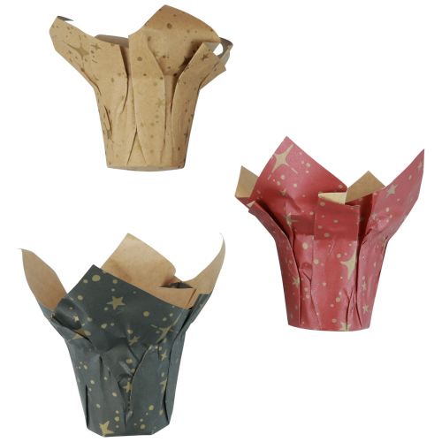 Plantenbak papier sterren rood/antraciet/naturel Ø4,5cm H6cm 9 stuks