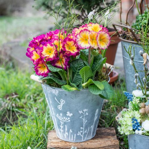 Floristik24 Plantenbak plantenbak vintage decoratieve metalen emmer Ø18cm H17.5cm