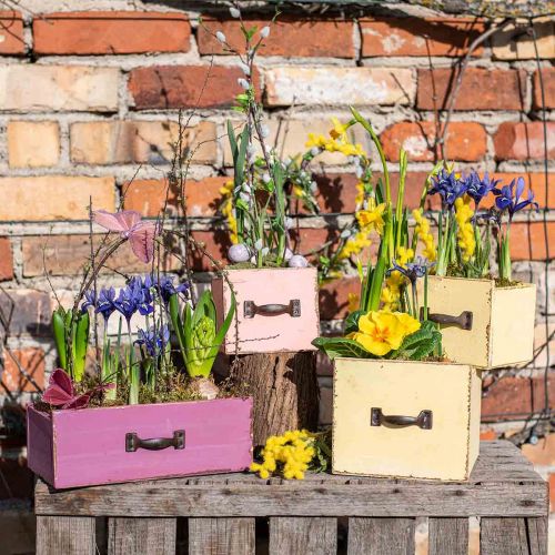 Floristik24 Plantenlade hout deco paars 25×13×9cm