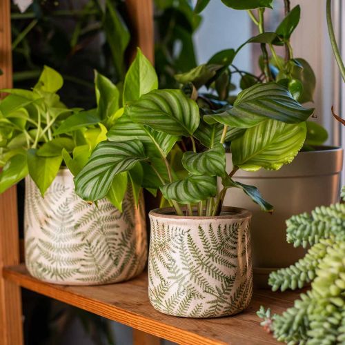Floristik24 Plantenbak aardewerk varen plantenpot keramiek Ø15/10.5cm set van 2