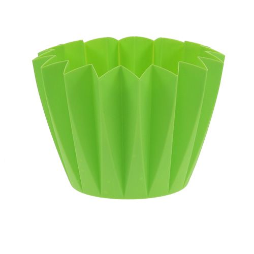 Floristik24 Pot Adonis Groen 14cm 20 st