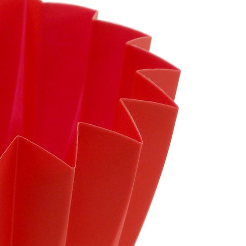 Floristik24 Pot Adonis Rood 11cm 20 st