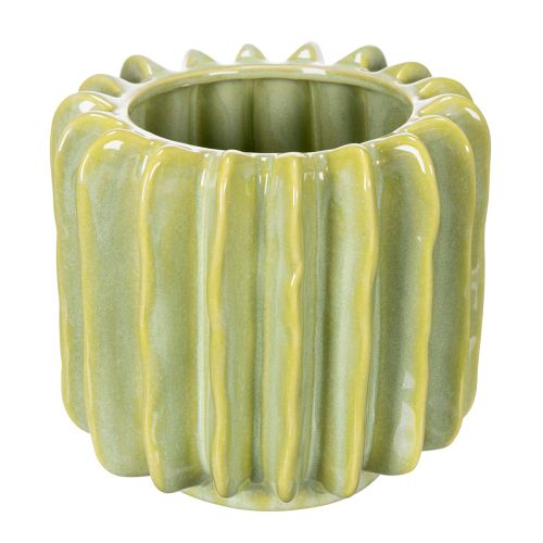 Cactusbloempot, ideale schaal voor exotische woonaccessoires, 16 cm
