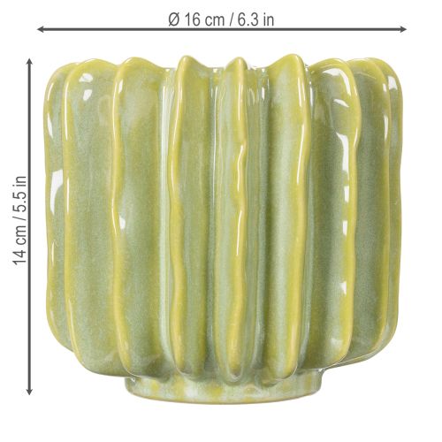 Artikel Cactusbloempot, ideale schaal voor exotische woonaccessoires, 16 cm