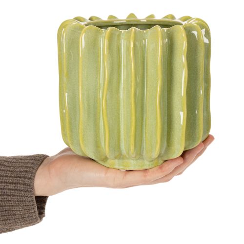 Artikel Cactusbloempot, ideale schaal voor exotische woonaccessoires, 16 cm