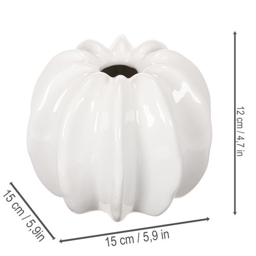 Pompoenvormige keramische vaas, wit, woondecoratie, 15 cm | Floristik24.nl