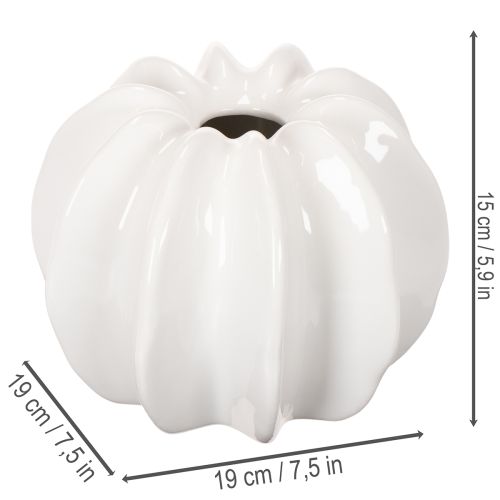 Decoratieve vaas in de vorm van een pompoen, glanzend, herfstdecoratie voor de woonkamer, 19 cm | Floristik24.nl