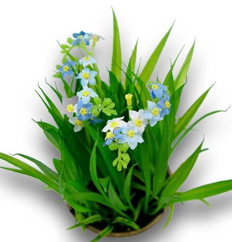 Floristik24 Vergeet-mij-nietje met gras en schaal 18cm
