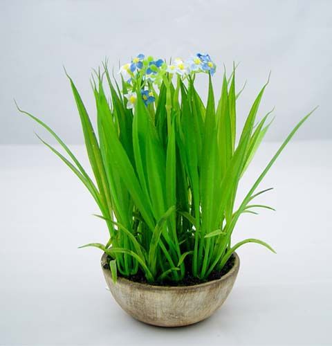 Floristik24 Vergeet-mij-nietje met gras en schaal 18cm