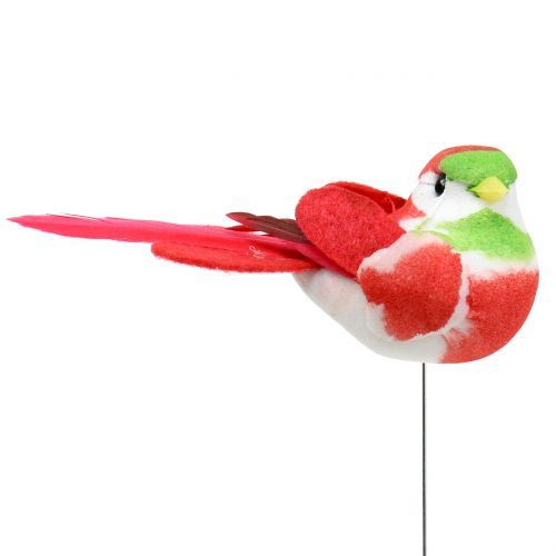 Floristik24 Vogels op draad gekleurd 8cm 12st