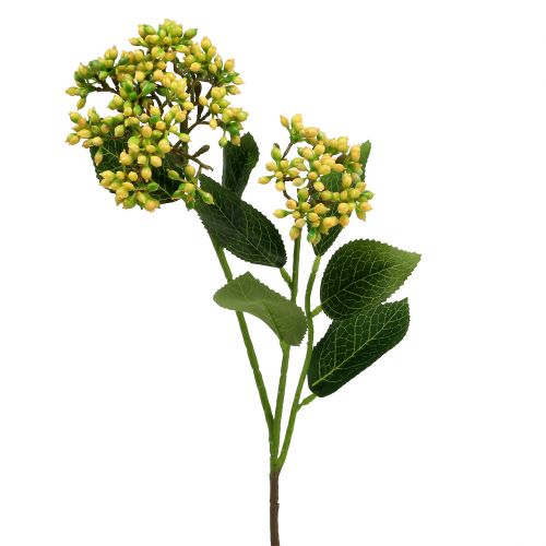 Floristik24 Viburnum Bessentak 54cm geel 4st