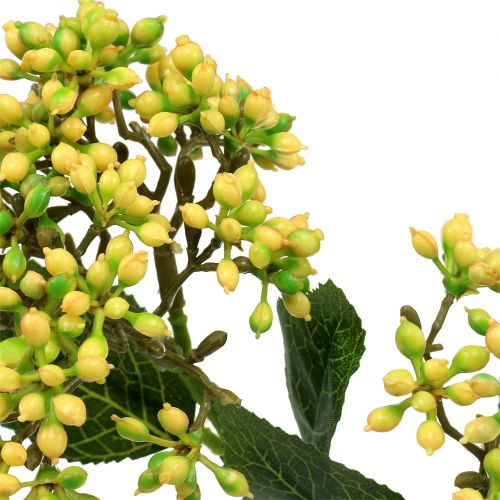 Floristik24 Viburnum Bessentak 54cm geel 4st