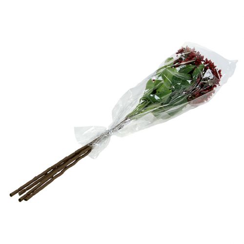 Floristik24 Bessentak Rode planten van viburnum 54cm 4st