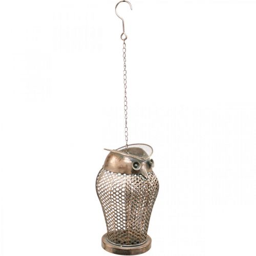 Floristik24 Vintage Lantaarn Uil Tuinlantaarn Theelichthouder Goud H29cm