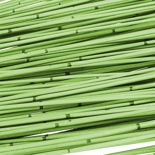Floristik24 Vlei Riet 400g lichtgroen