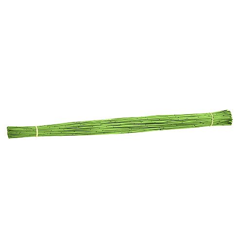 Floristik24 Vlei Riet 400g lichtgroen