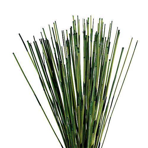 Floristik24 Vlei Reed 400g donkergroen