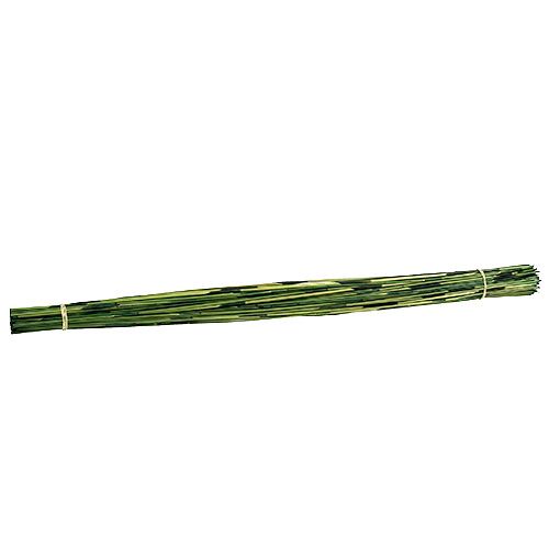 Floristik24 Vlei Reed 400g donkergroen