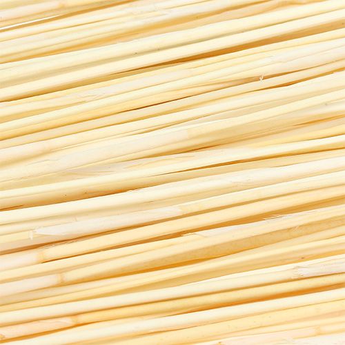 Floristik24 Vlei Reed 400g gebleekt