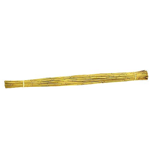 Floristik24 Vlei Riet 400g geel