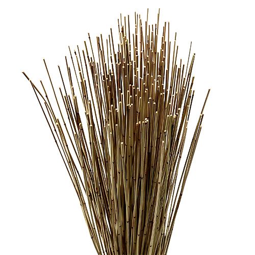 Floristik24 Vlei Reed 400g natuurlijk