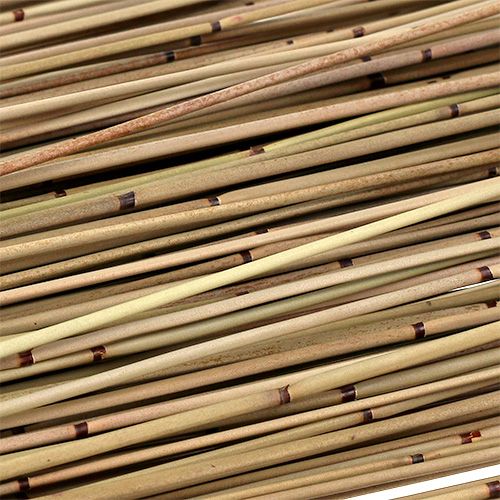 Floristik24 Vlei Reed 400g natuurlijk