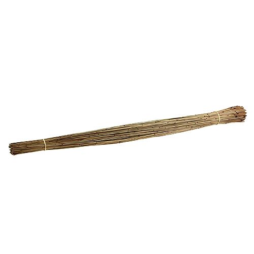 Floristik24 Vlei Reed 400g natuurlijk