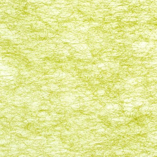 Floristik24 Fleece olijfgroen 23cm 25m