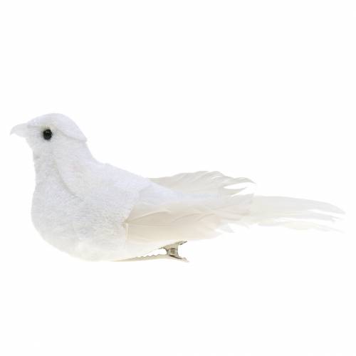 replica natuurlijk Inheems Floristik24.nl Duif gevlokt met veren en clip wit 13,5 cm 4 stks-359-911 - koop goedkoop online replica natuurlijk Inheems Floristik24.nl Duif gevlokt met veren en clip wit 13,5 cm 4 stks-359-911 - koop goedkoop online
