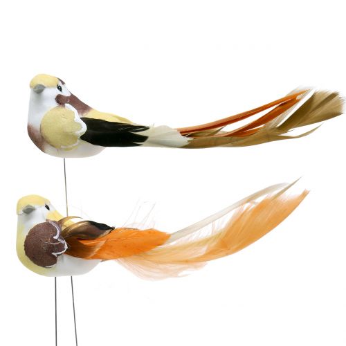 Floristik24 Vogel op draad bruin / oranje 14cm 12st