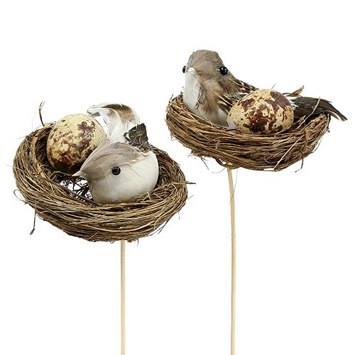 Floristik24 Vogelnest op stok Ø7cm L24cm 6st