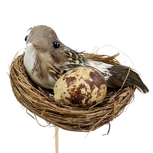 Floristik24 Vogelnest op stok Ø7cm L24cm 6st