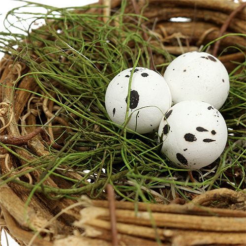 Floristik24 Vogelnest met eieren Ø9cm 6st