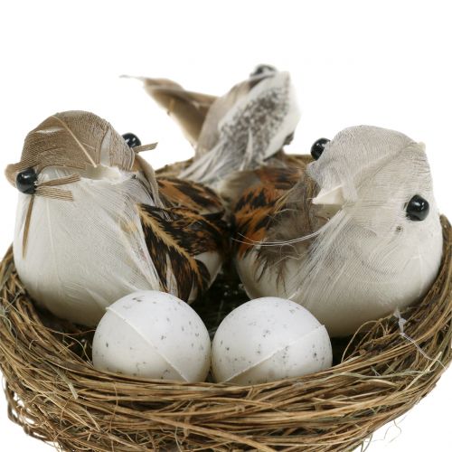 Vogelnest met eieren en vogel 6st