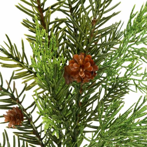 Floristik24 Jeneverbes tak 40cm