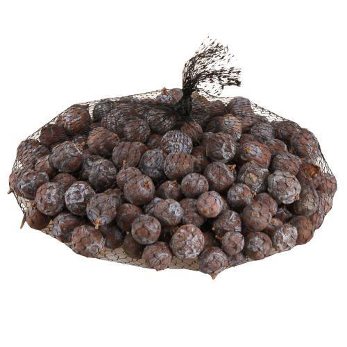 Floristik24 Jeneverbes kegels Syrische jeneverbes naturel Ø1,5–2,5cm 1kg