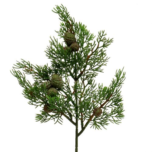 Floristik24 Jeneverbessentak met kegels groen 39cm 3st