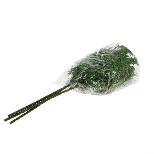 Floristik24 Jeneverbessentak met kegels groen 39cm 3st