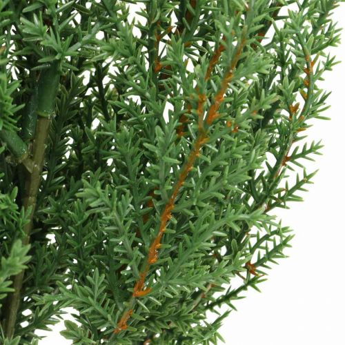 Artikel Juniper tak kunst groene decoratieve tak Kerst 39cm 6st