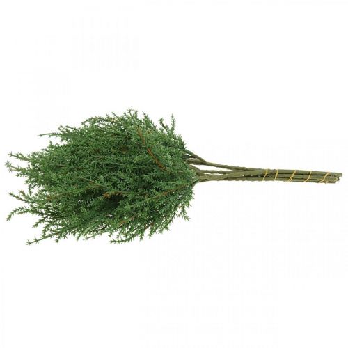 Floristik24 Juniper tak kunst groene decoratieve tak Kerst 39cm 6st