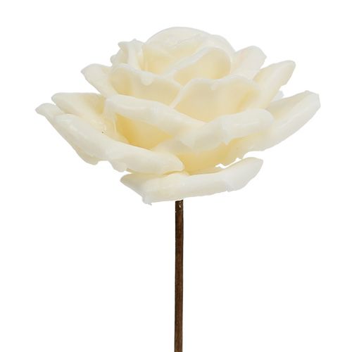 Floristik24 Wax roos Ø10cm crème 6st