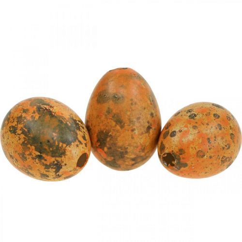 Kwarteleitjes decoratie geblazen eieren oranje abrikoos 3cm 50st