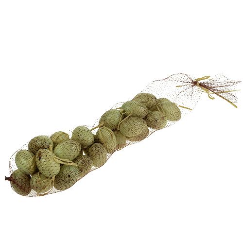 Floristik24 Kwartelei in de netdecoratie 6cm 27st.