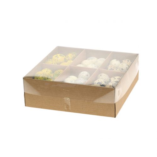 Floristik24 Kwarteleitjes assortiment geel, naturel 3cm 62st