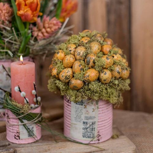 Artikel Kwarteleitjes decoratie geblazen eieren oranje abrikoos 3cm 50 st