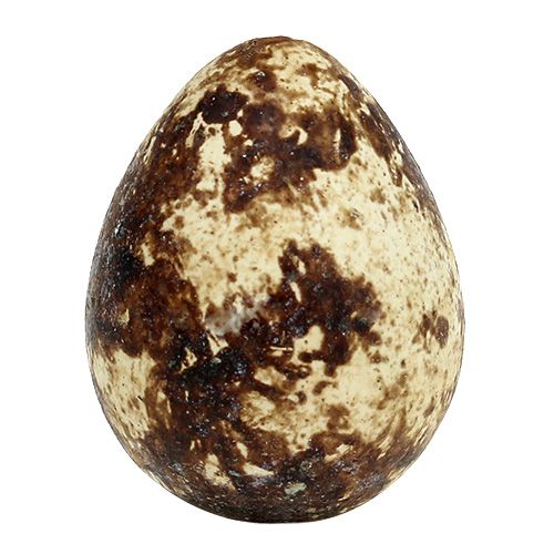 Artikel Kwarteleitjes als decoratie leeg naturel 50 st
