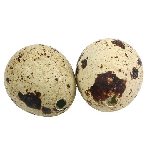 Floristik24 Kwarteleitjes natuur 3-3.5cm 12st