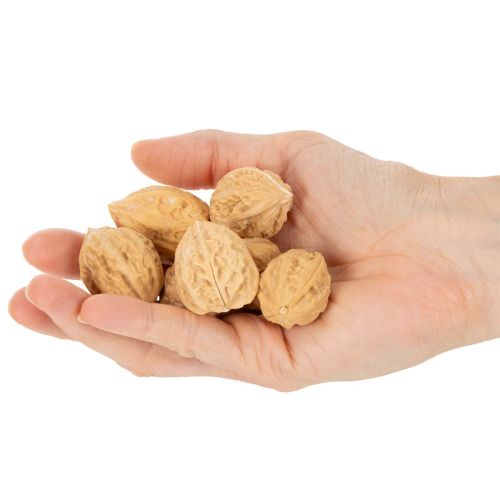 Walnoten voor decoratie, natuurproduct, 3-4 cm, 300 g | Floristik24.nl