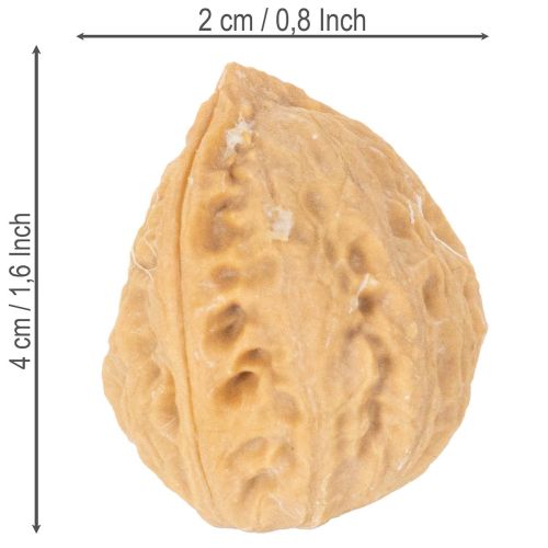 Walnoten voor decoratie, natuurproduct, 3-4 cm, 300 g | Floristik24.nl